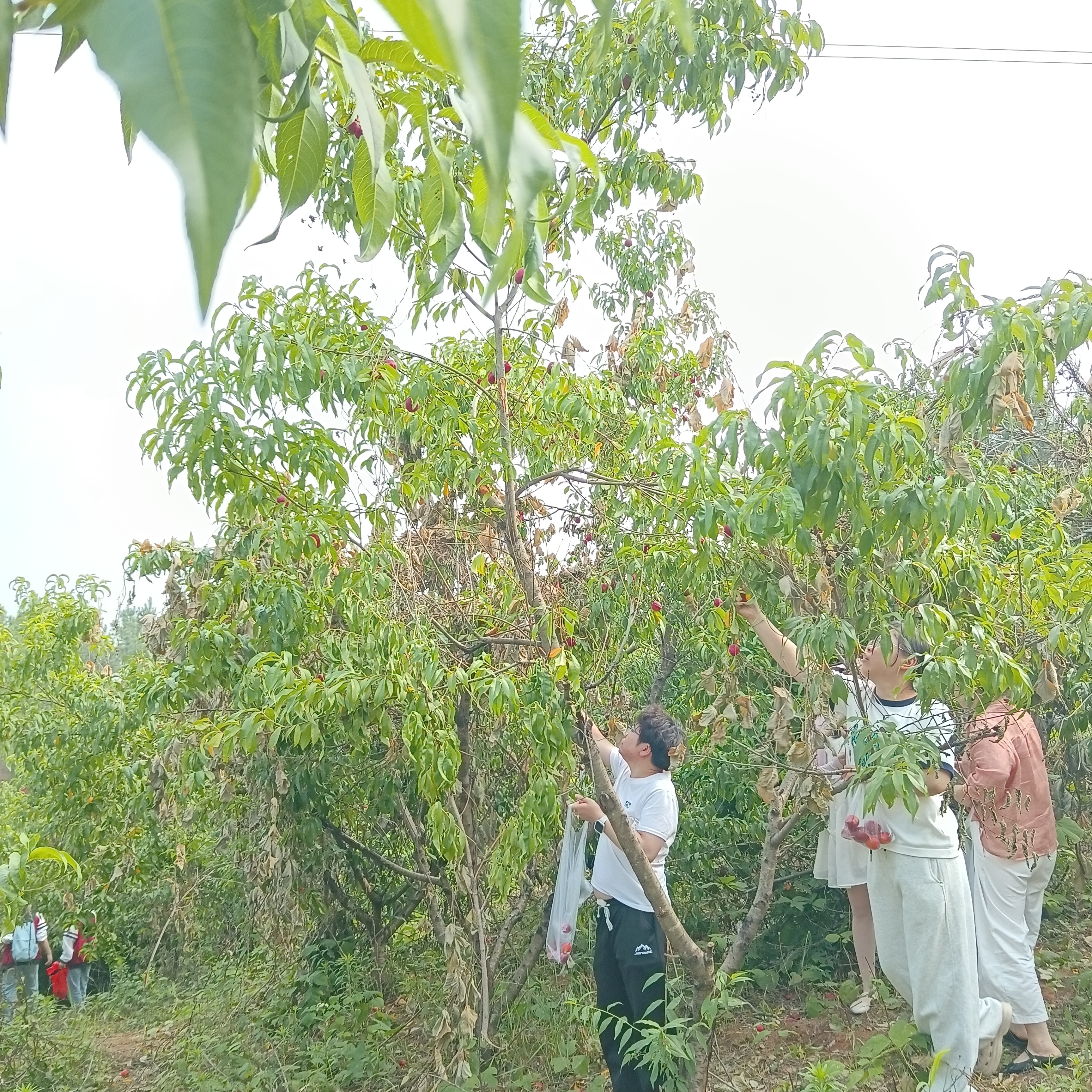 请输入图片描述 请输入图片描述