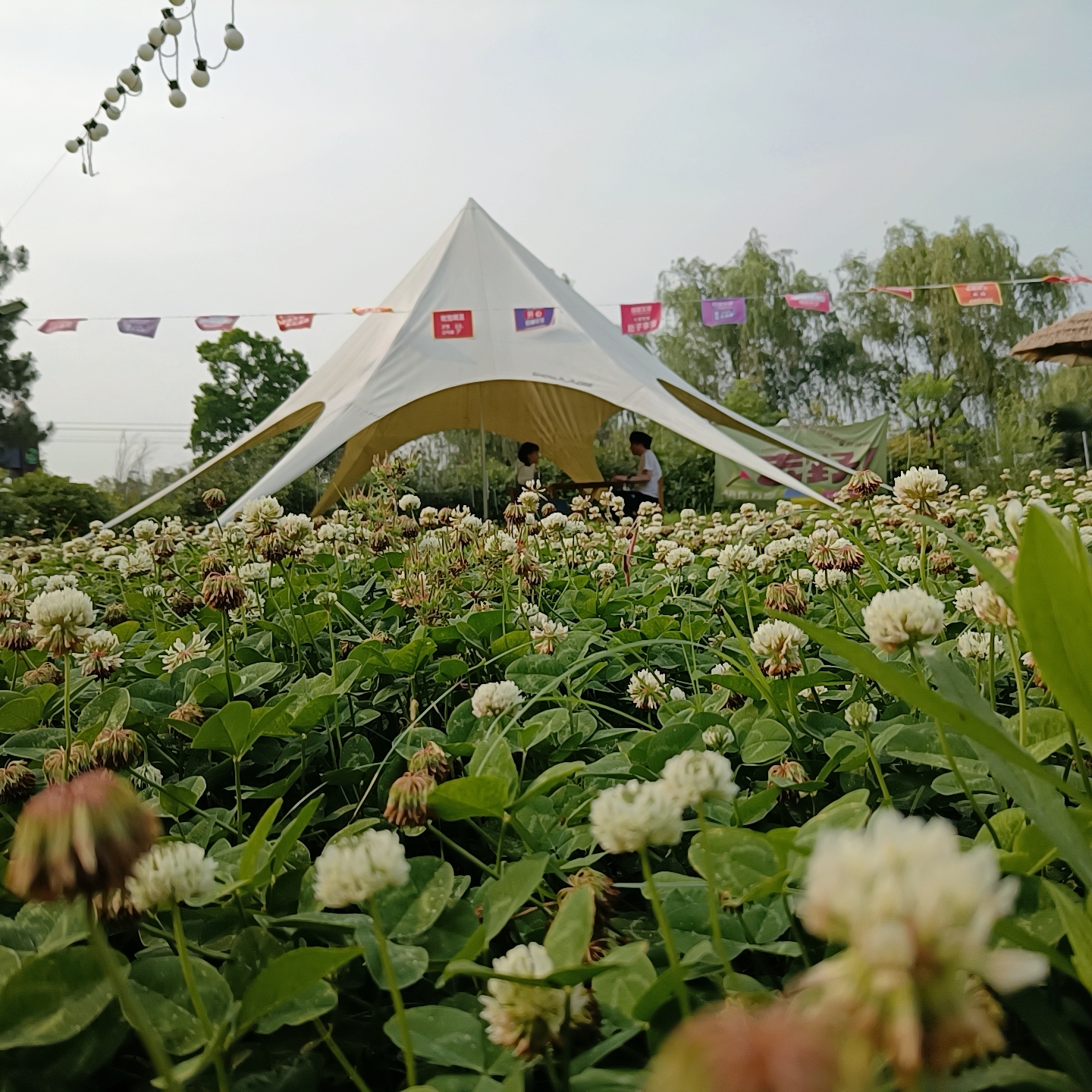 请输入图片描述